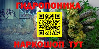молекула духа Анжеро-Судженск